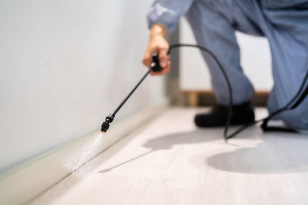 Licensed Pest Control service in Sumrall, MS - Show Me Pest Control