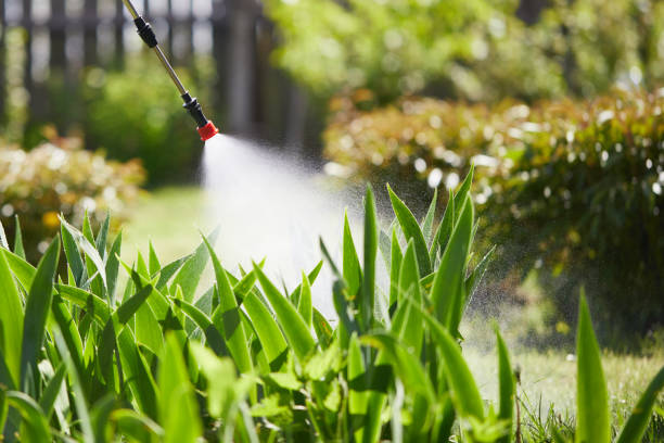 Tamper-Resistant Bait Stations for Rodents in Sumrall