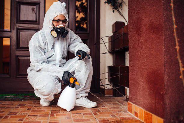 Attic and Crawl Space Rodent Treatment in Sumrall