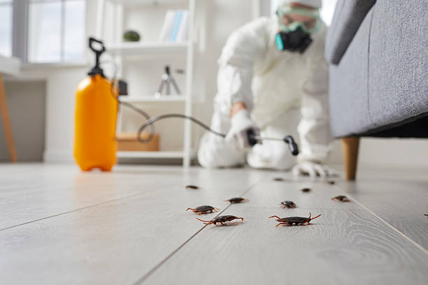 Commercial Rodent Management in Sumrall